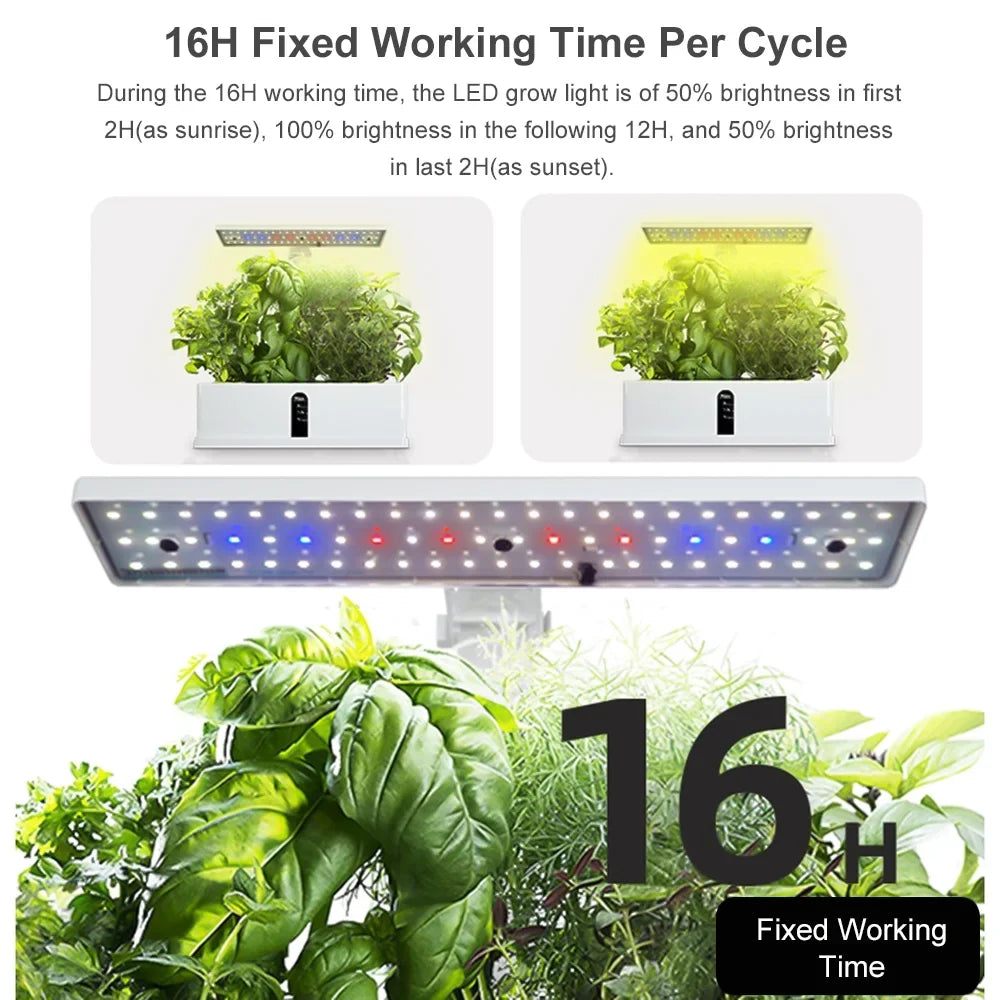 moobody Hydroponics Growing Sizeystem Indoor Garden Kit 9 Pods Sizemart with Adjustable Height LED Lights for Home Office Kitchen