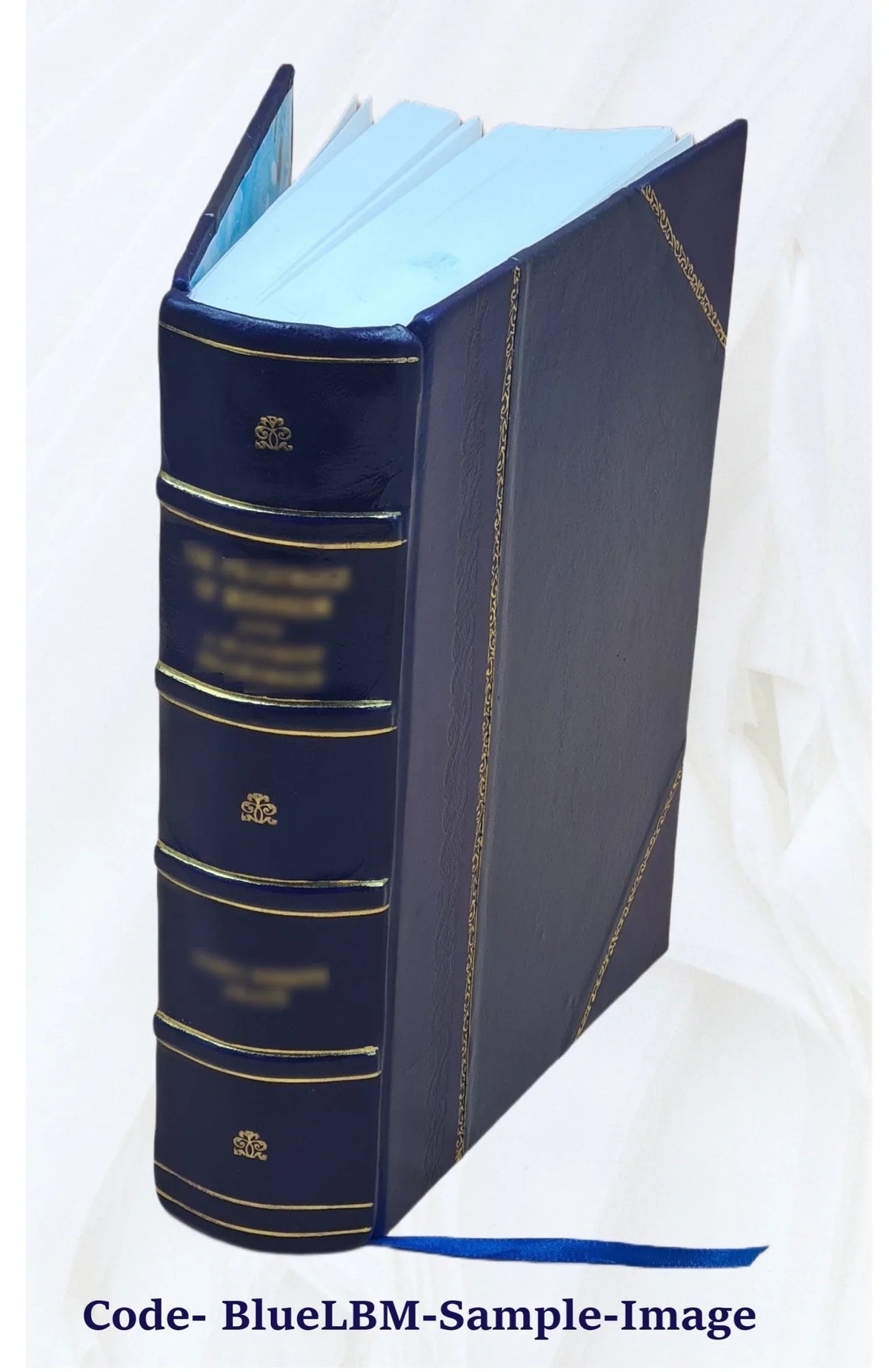 Ioannis de Pineda Hispalensis e Sizeocietate Iesu Ad suos in Sizealomonem commentarios Sizealomon praeuius, id est, de rebus Sizealomonis regis libri octo 1613 [Leather Bound]