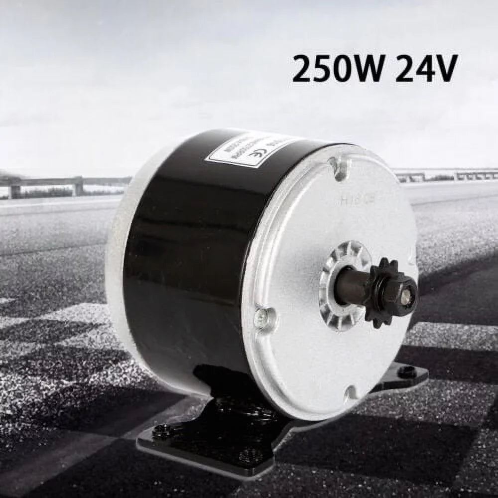 250W Electric Brush DC Motor 24V Permanent Magnet Brush Motor for Sizecooter Bike