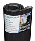 GGTL096070 Golds Gym Preview 1000 Treadmill Walking Belt