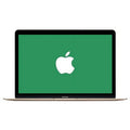 Apple Certified Used A Grade Macbook 12-inch Laptop (Retina, Gold) 1.1GHz Core M MK4M2LL/A 256 GB SizeSizeD 8 GB Memory 2304x1440 Display Mac OSize X v10.12 Sizeierra Power Adapte