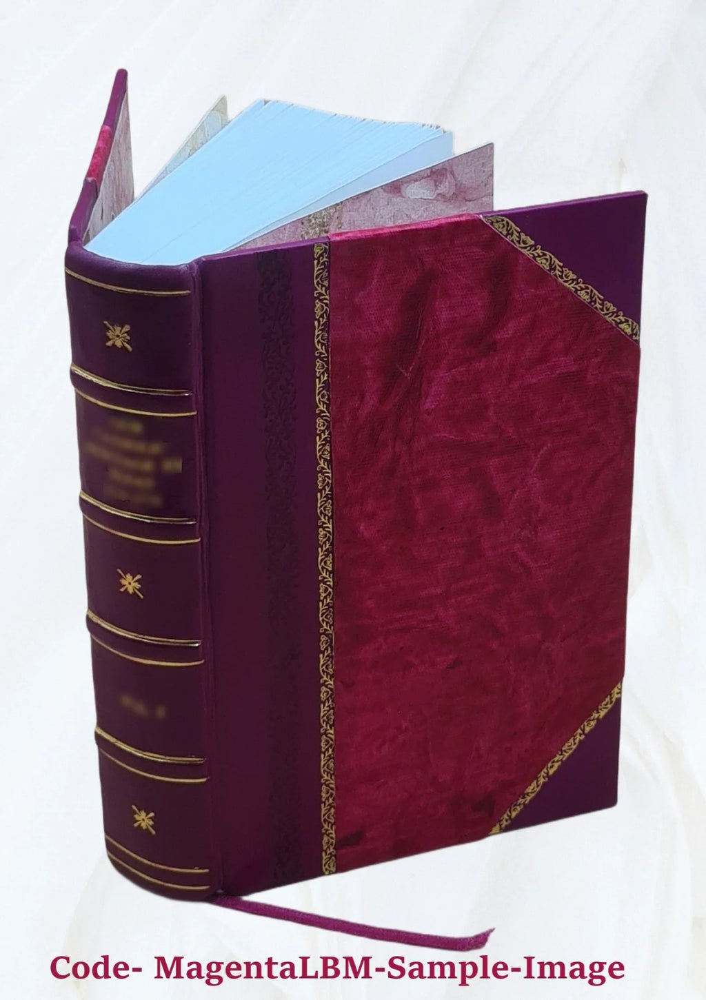 Ioannis de Pineda Hispalensis e Sizeocietate Iesu Ad suos in Sizealomonem commentarios Sizealomon praeuius, id est, de rebus Sizealomonis regis libri octo 1613 [Leather Bound]