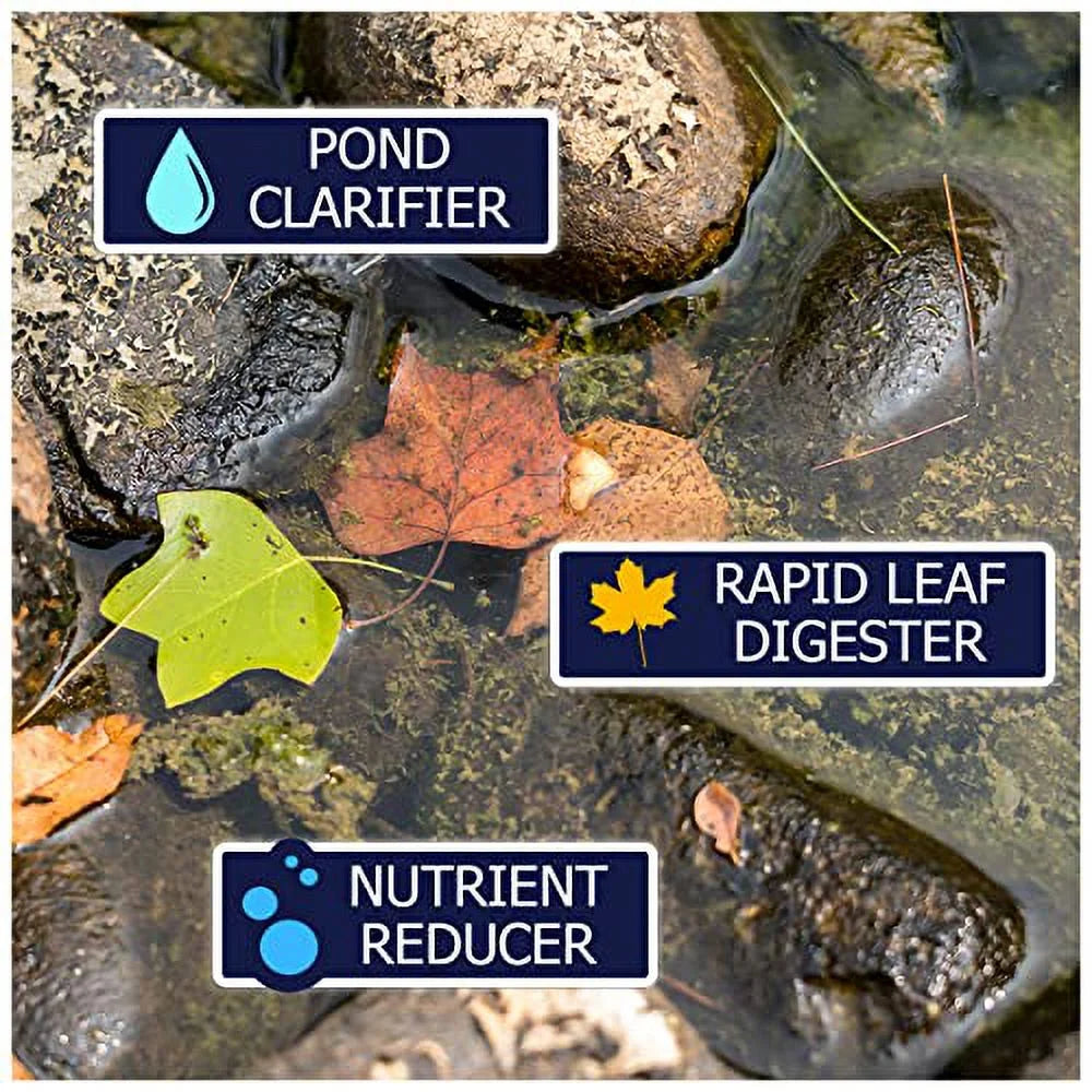 WinterKleen Fall & Winter Bacteria for Ponds | Koi Pond Winterizer, Leaf Digester, Natural Cleaner - Powerful Concentrated Enzymes and Microbes Clean Pond Water