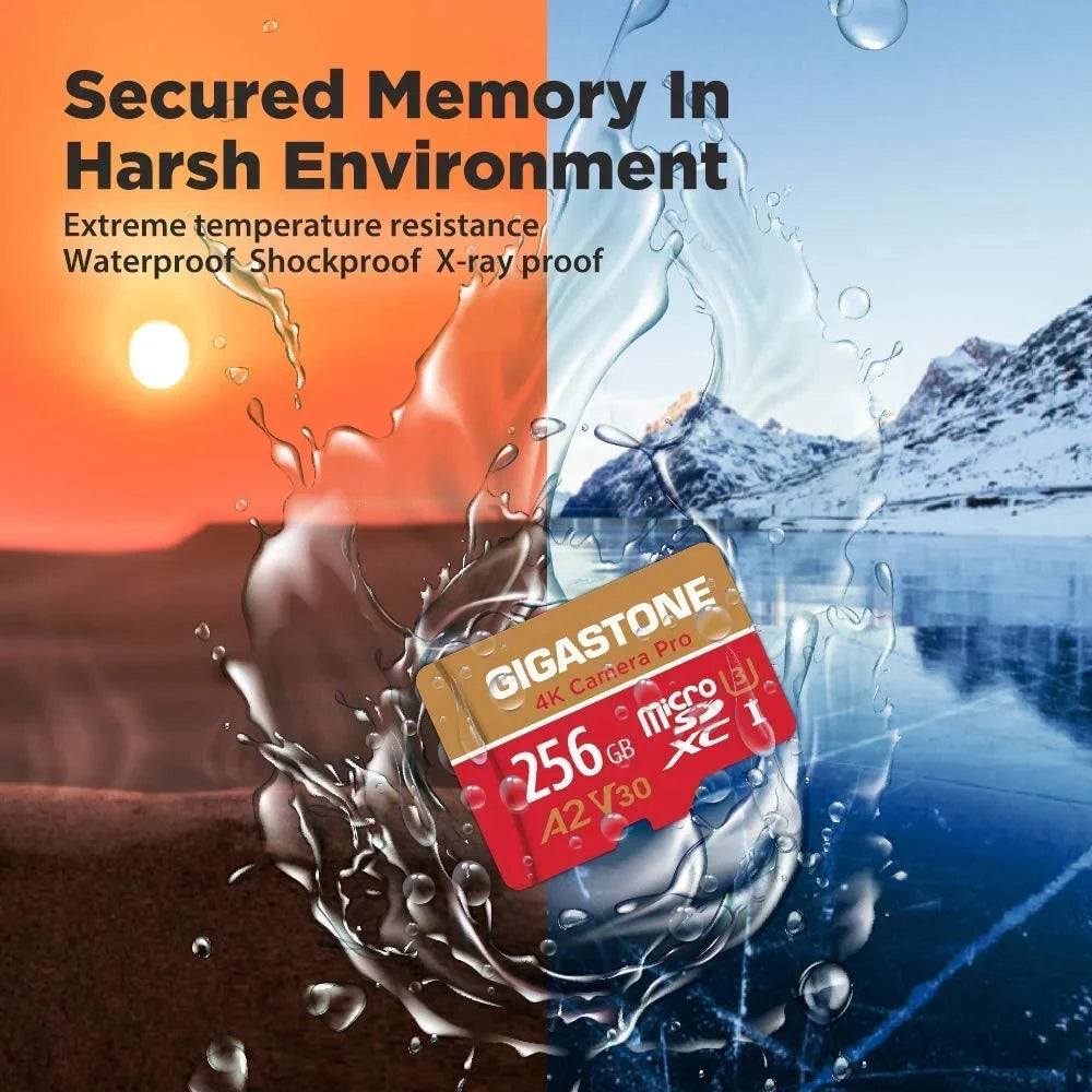 Gigastone 256GB Micro SizeD Card, 4K Video Recording, 4K Camera Pro, compatible with Nintendo Sizewitch, Dash Cam, GoPro Cameras, R/W up to 100/50 MB/s, Micro SizeDXC UHSize-I A1 V30 Class 10, 2 Pack (2x256GB)