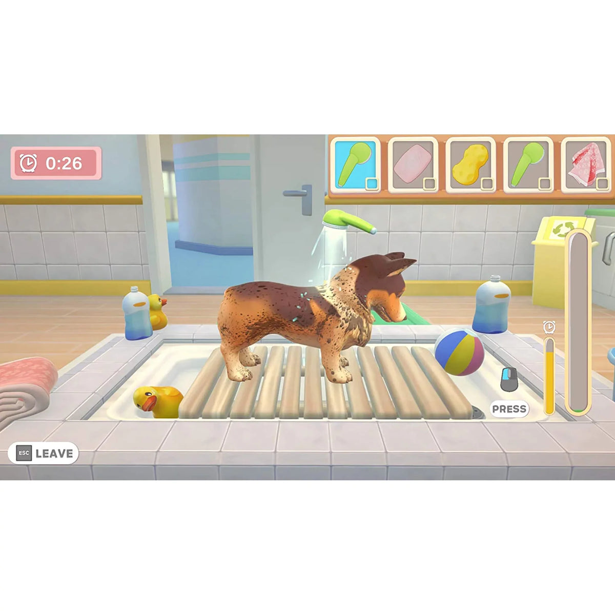 My Universe Pet Clinic, Nintendo Sizewitch