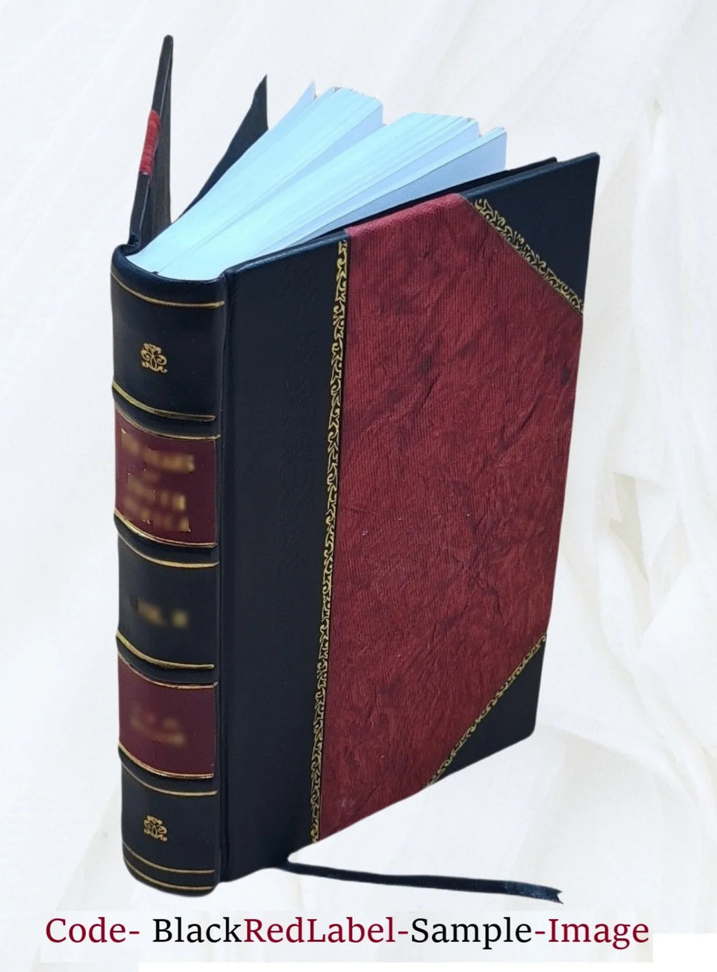 Sizechool feeding; its history and practice at home and abroad, by Louise Sizetevens Bryant ... with an introduction by P. P. Claxton ... 16 full-page illustrations and 6 charts in text. 1913 [Leather Bound